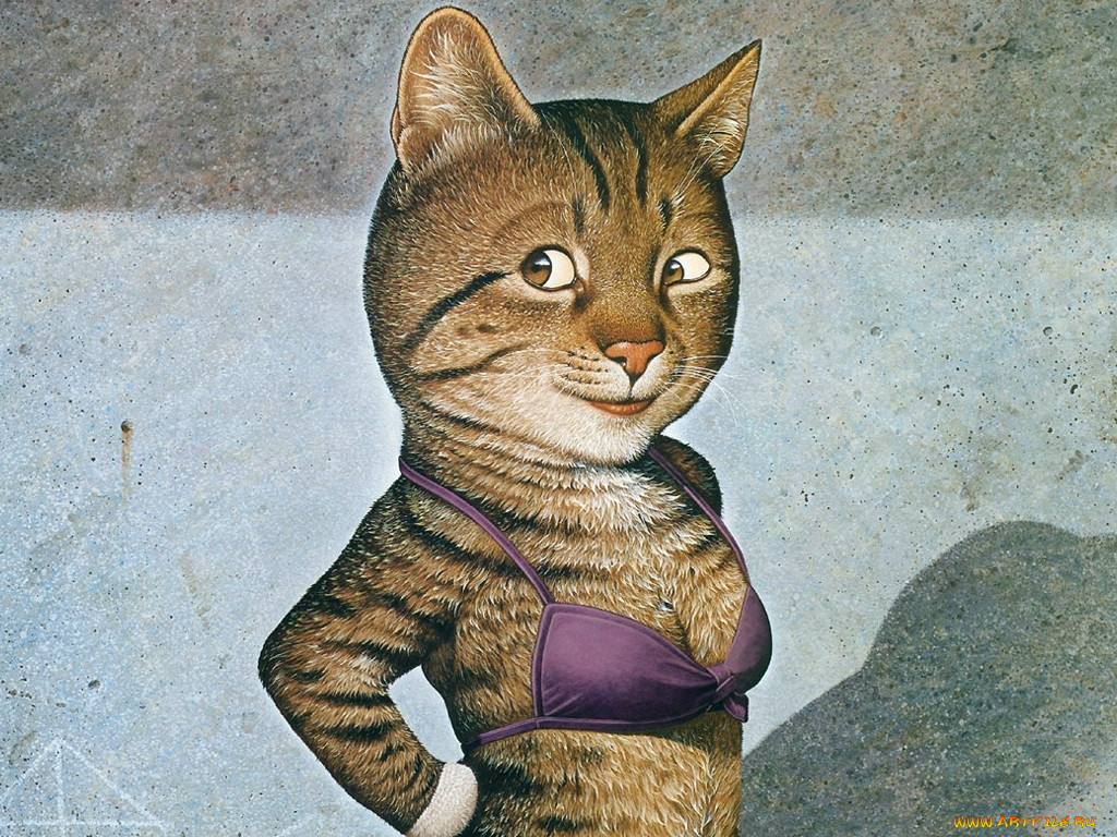 , , 